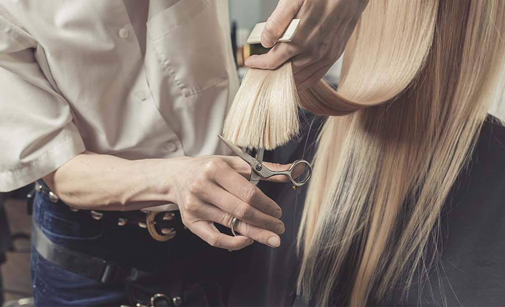 Hairdresser cutting a customers' hair